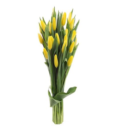 دسته گل لاله زرد 247