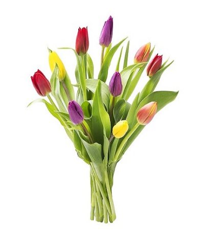 دسته گل لاله رنگی 249